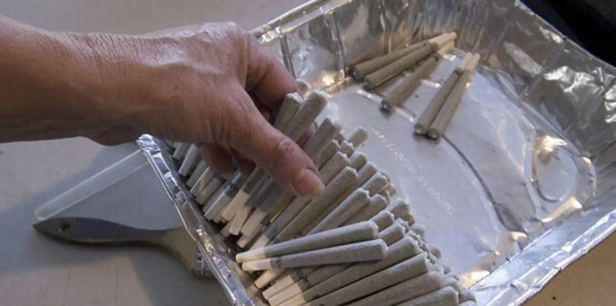 حكم بإعدام 3 أشقاء مصريين بسبب "الحشيش"