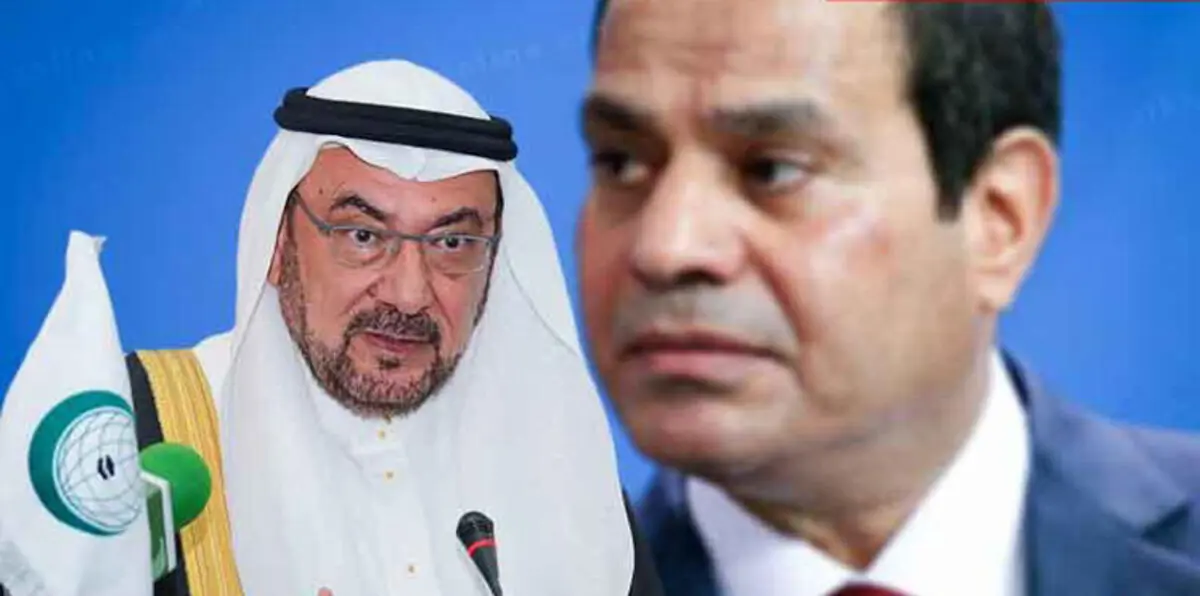 هفوات السياسيين.. من إياد المدني إلى السبسي وأردوغان