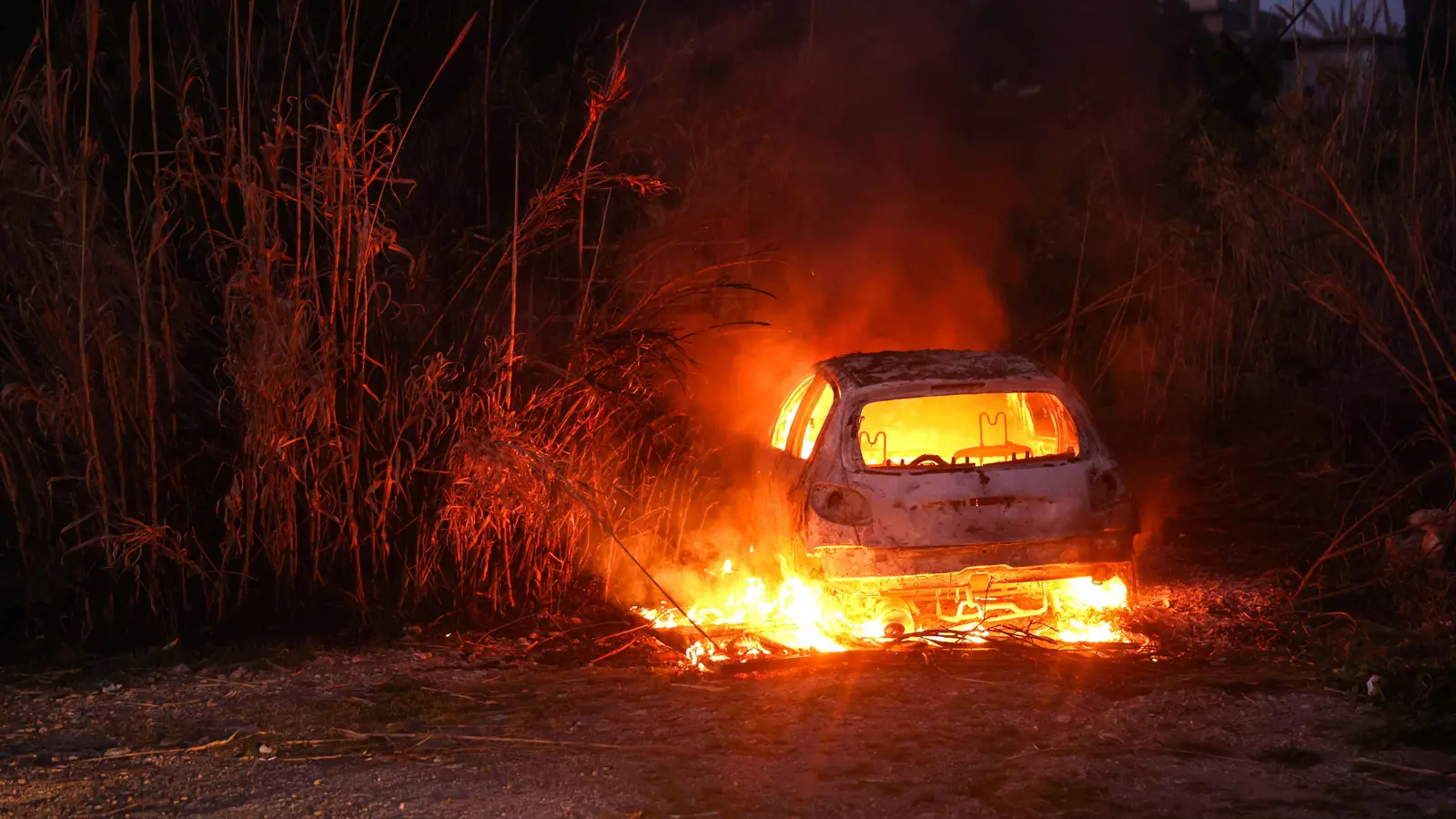 حرائق "مفتعلة" تلتهم غابات اللاذقية (فيديو وصور)