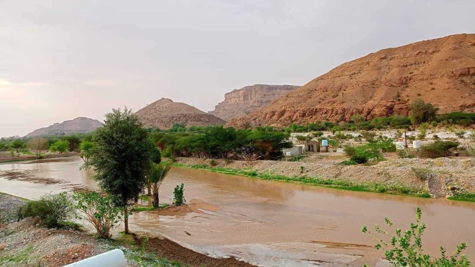 اليمن.. تدفق السيول في شبوة يخلف أضراراً مادية جسيمة (فيديو)