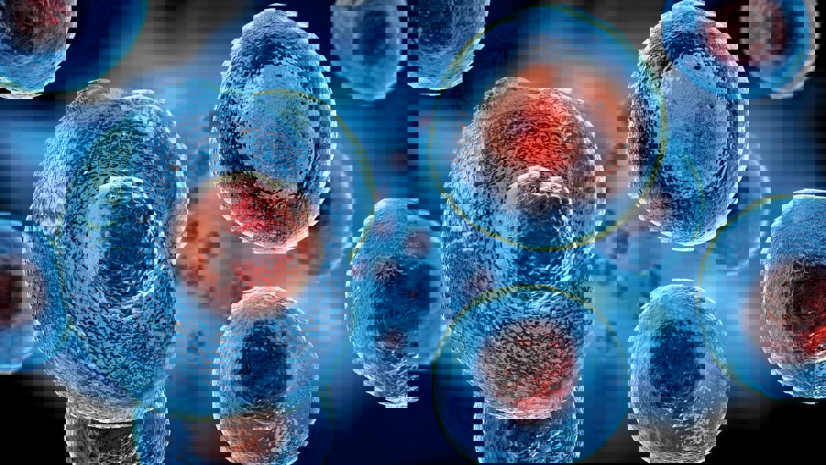 أحافير كائنات دقيقة تفتح نافذة على "العالم المفقود" للحياة الأولية
