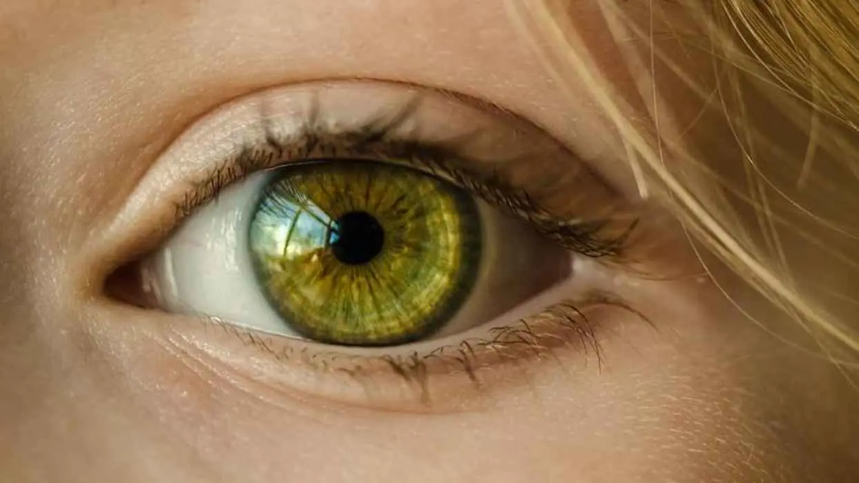 بجزيئات من "الذهب".. تقنية ثورية تعيد الأمل لفاقدي البصر