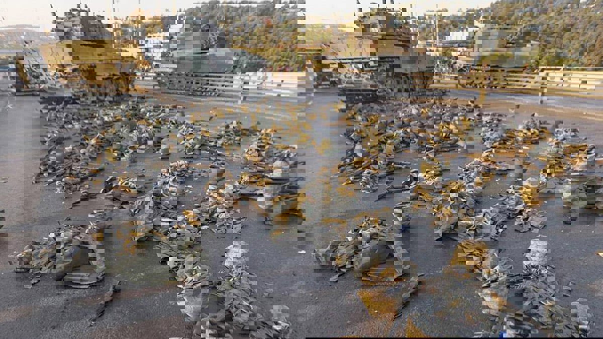 لماذا عاد الحديث عن انقلاب عسكري في تركيا؟