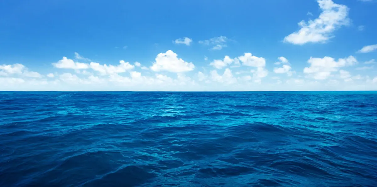 اكتشاف عالم خفي من الفيروسات العملاقة في مياه البحر