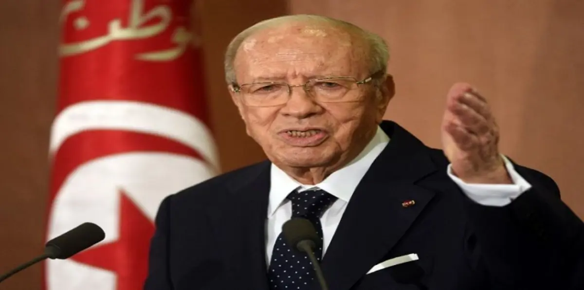 السبسي: تقسيم ليبيا مصيبة كبرى