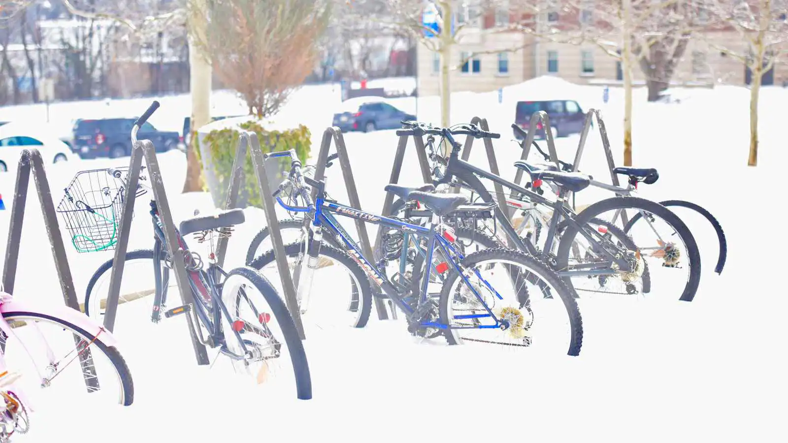 مصرع 38 شخصًا إثر عاصفة شتوية في الولايات المتحدة (صور وفيديو)