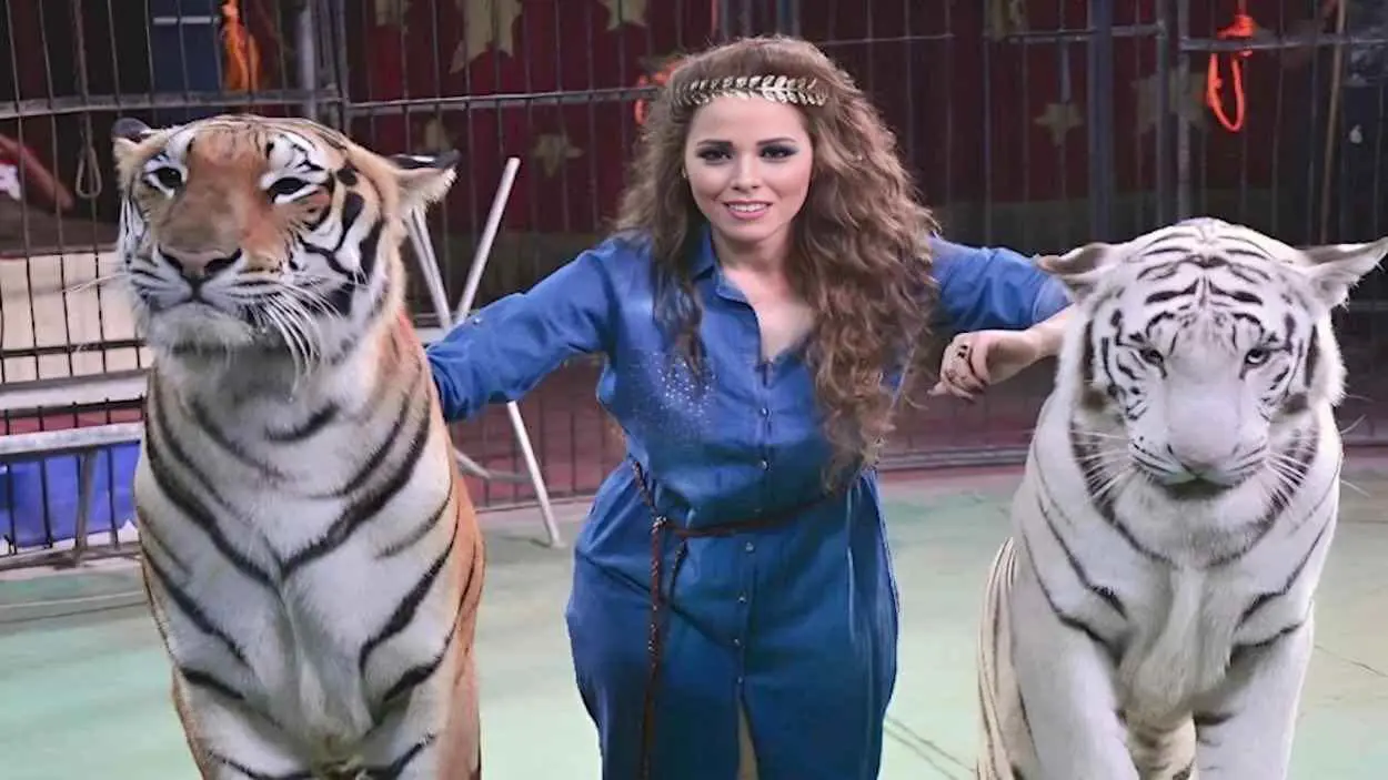 تفاصيل مثيرة تكشفت.. أسرة عامل سيرك طنطا توجه الاتهام للمدربة أنوسة