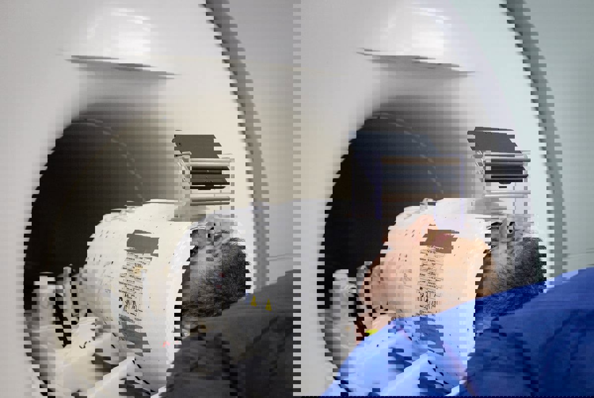 أقوى جهاز رنين مغناطيسي في العالم قد يتيح كشف ألغاز الدماغ البشري (صور)