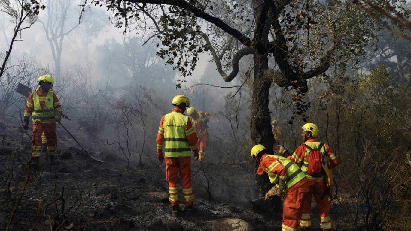 المغرب.. فرق الإطفاء تسابق الزمن لإخماد حرائق غابات شفشاون (فيديو)