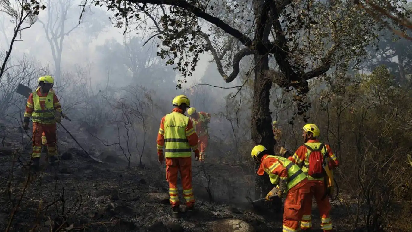 المغرب.. فرق الإطفاء تسابق الزمن لإخماد حرائق غابات شفشاون (فيديو)