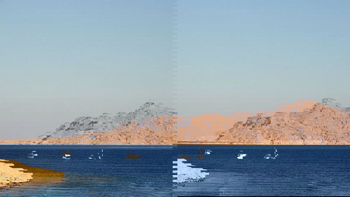 تقرير: وساطة أمريكية لترتيب وضع جزيرتي تيران وصنافير