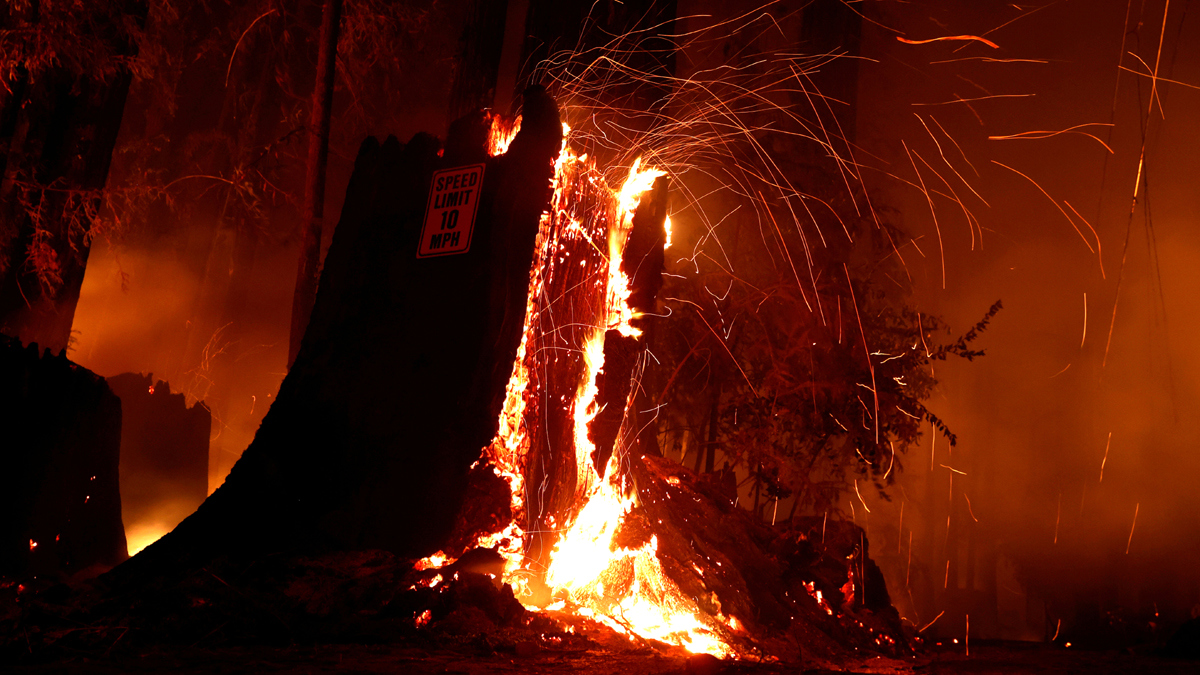 طائرات وقوات من الحرس الوطني تصل كاليفورنيا لمكافحة النيران