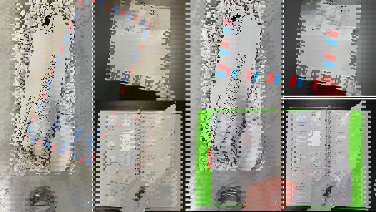 علماء ينجحون في تجفيف حيوانات منوية وإرسالها عبر بطاقة بريدية