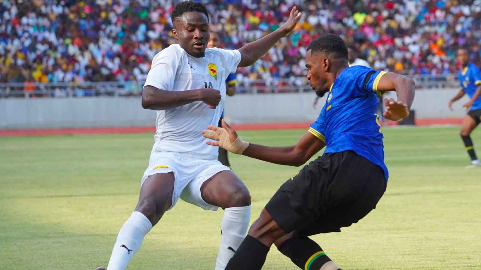 رسميا.. غينيا تطالب "الكاف" بمنحها التأهل لأمم إفريقيا بسبب قميص لاعب تنزاني