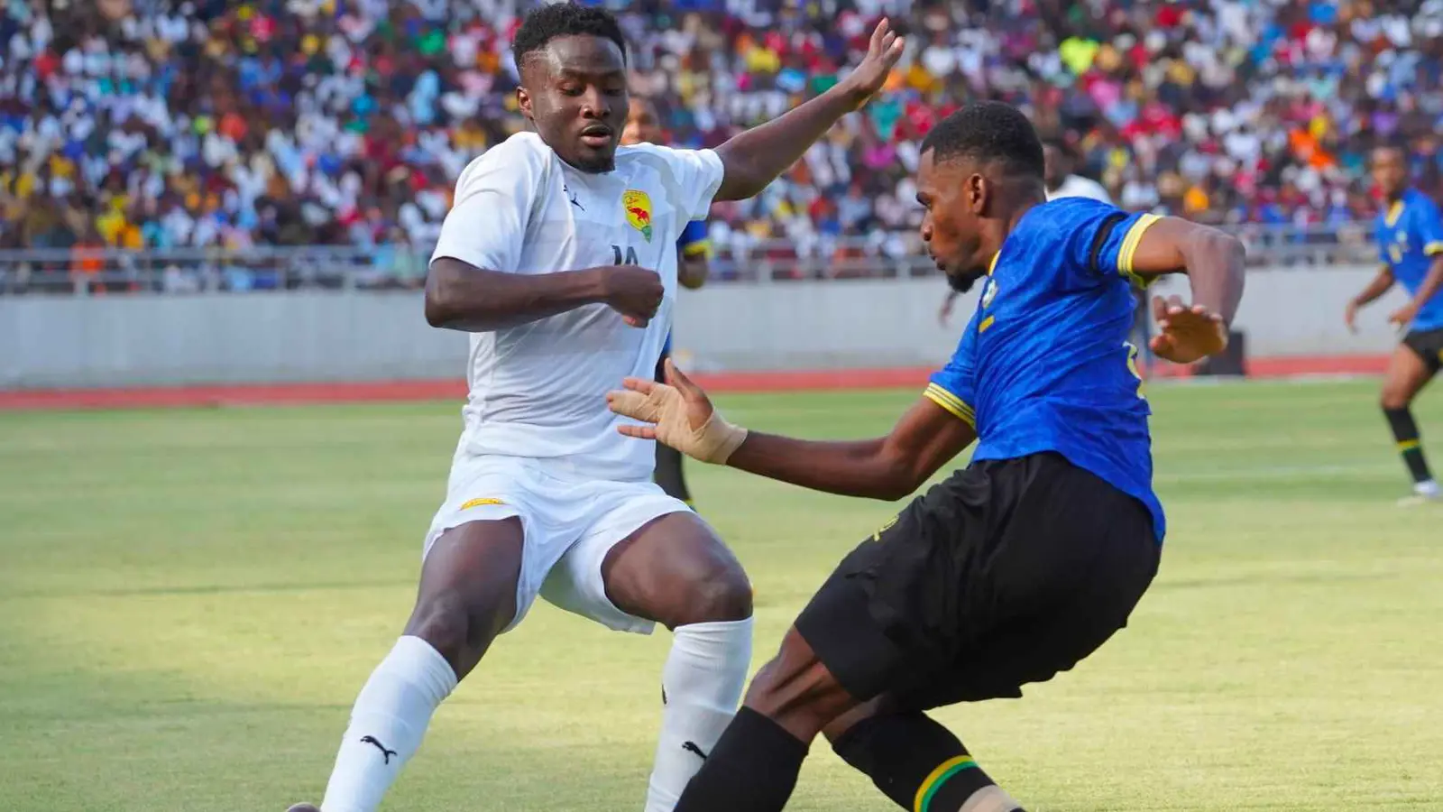 رسميا.. غينيا تطالب "الكاف" بمنحها التأهل لأمم إفريقيا بسبب قميص لاعب تنزاني