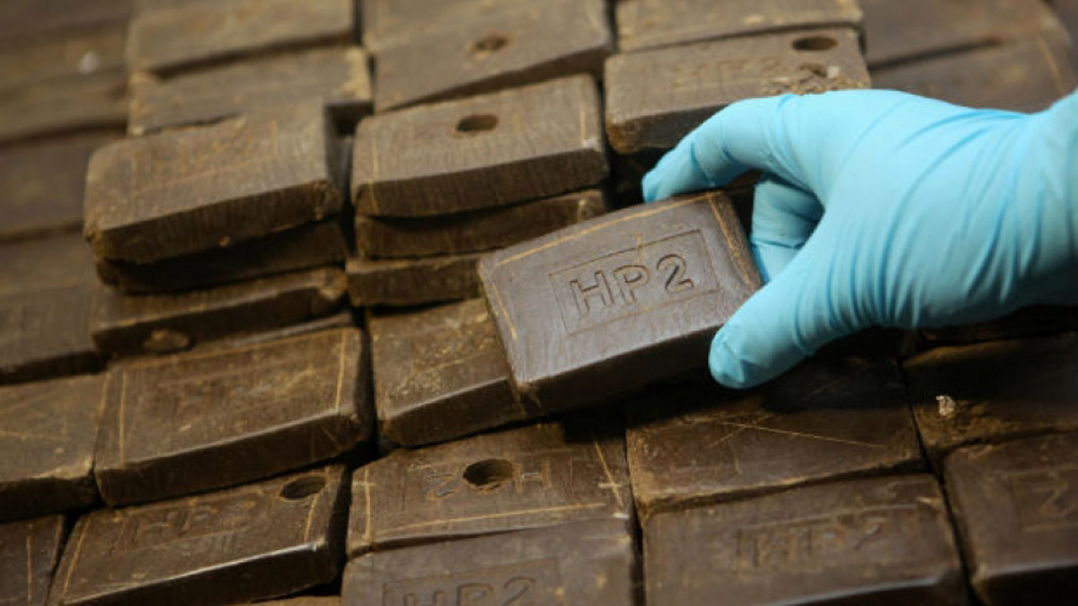 برلماني مصري: القاهرة تحتل المرتبة الخامسة عالميًا في استهلاك "الحشيش"