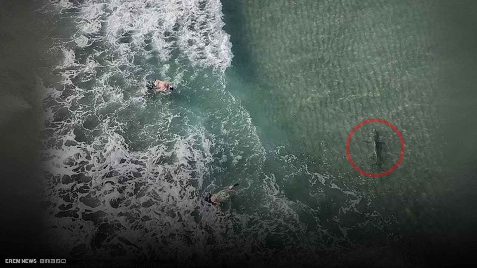 لحظة مرعبة لقرش يطارد غواصين