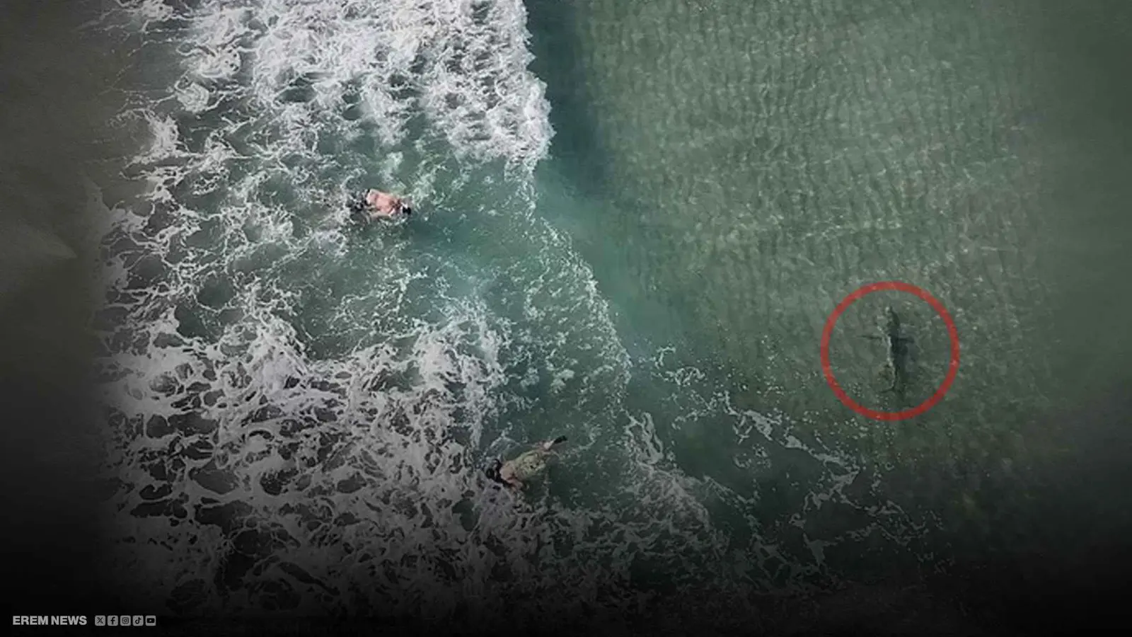 لحظة مرعبة لقرش يطارد غواصين