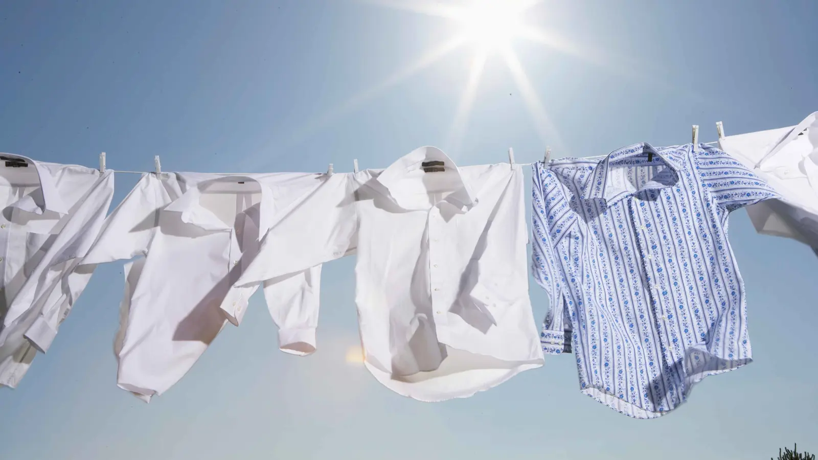 لص "نشيط" يقتحم المنازل ويؤدي الأعمال المنزلية نيابة عن ساكنيها