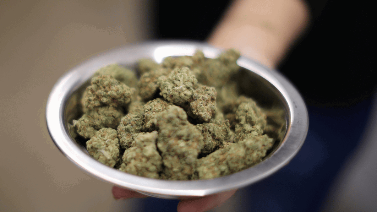 المغرب.. بدء بيع منتجات صيدلانية مصنعة من القنب الهندي