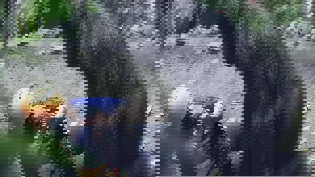 فيفي عبده تبرر "السباب والشتائم" مع رامز جلال.. وحقيقة "فبركة" الحلقة