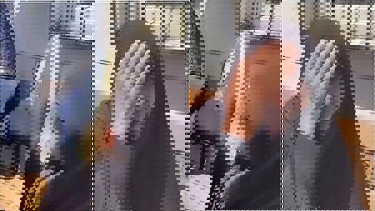 بعد تداول صورها.. نشطاء يتعاطفون مع مسنة سورية تعرضت للعنف من شاب تركي