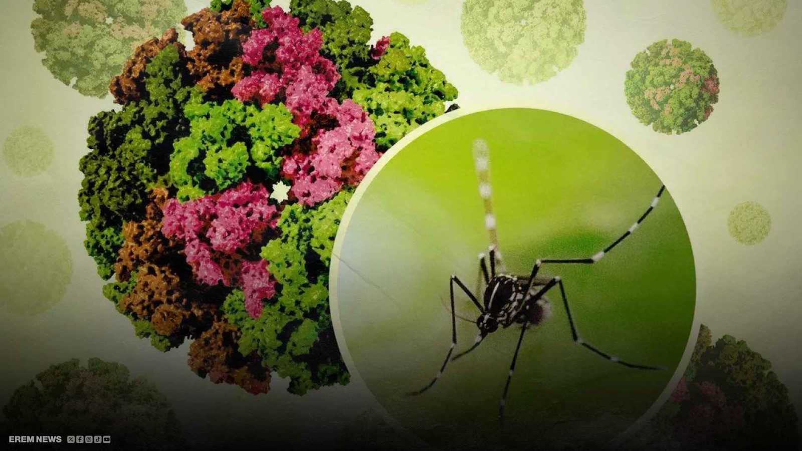 "إعلان الطوارئ".. فيروس سريع الانتشار يهدد الصين (فيديو)