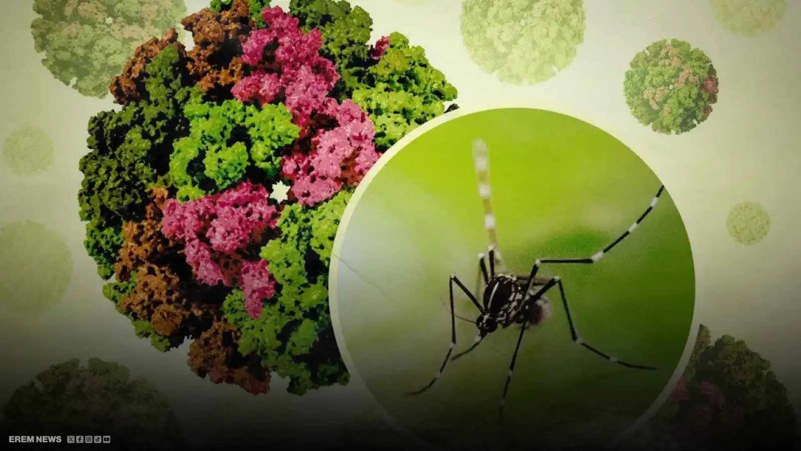 "إعلان الطوارئ".. فيروس سريع الانتشار يهدد الصين (فيديو)