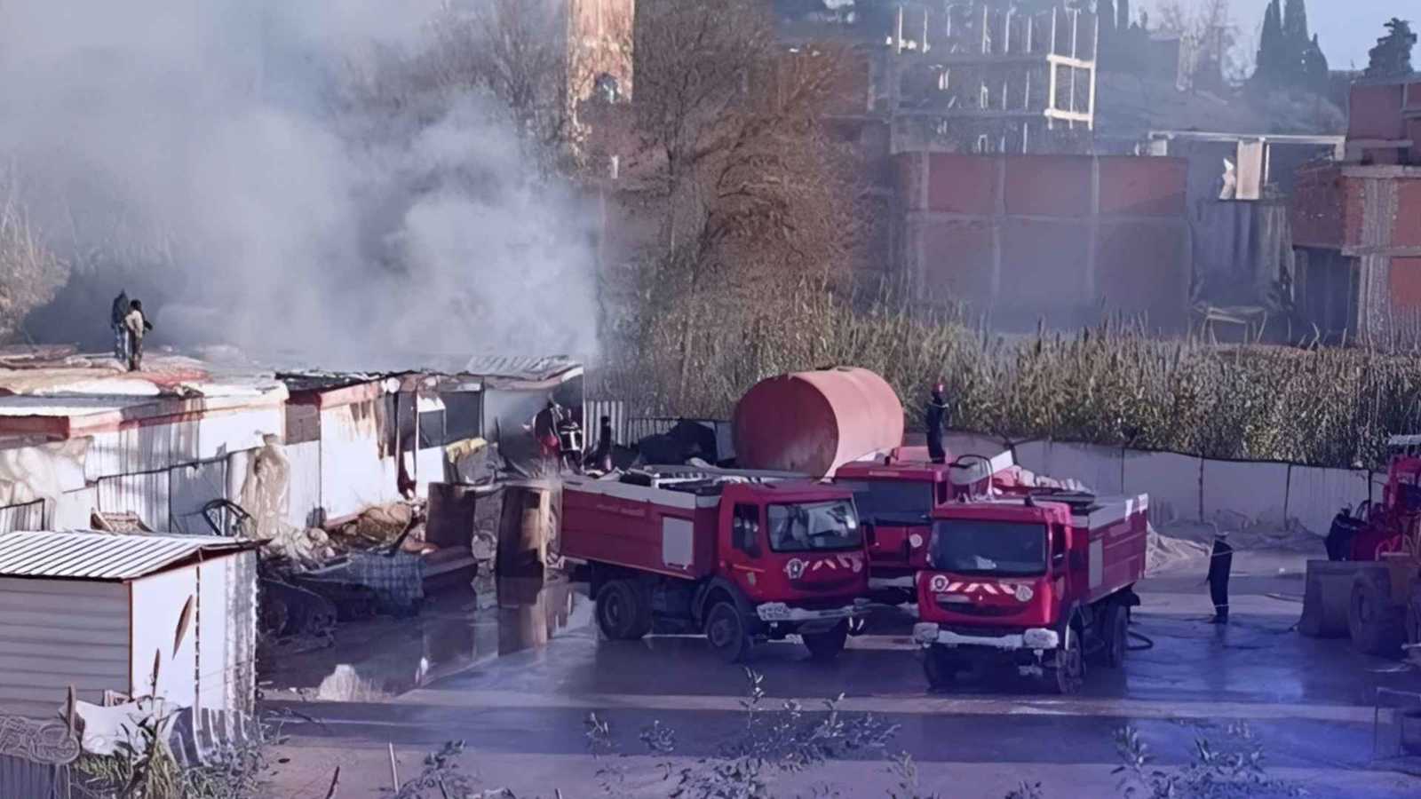 حريق هائل يلتهم 5 شاليهات في الجزائر