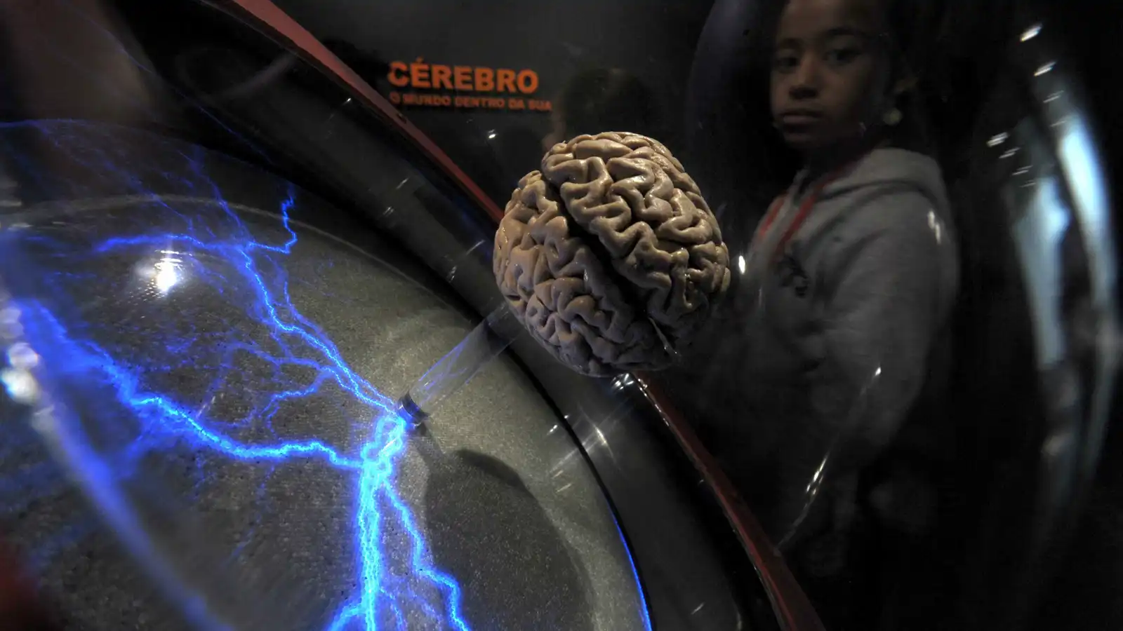 على مدار عمر الإنسان.. المخ يغير وصلاته العصبية بالكامل 5 مرات