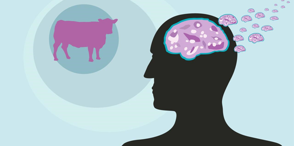 دراسة حديثة تكشف انتقال مرض جنون البقر بين البشر عبر الجلد