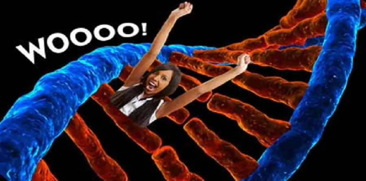 أخيرًا تم اكتشاف موقع جينات السعادة.. متصلة بالبنكرياس والأدرينالين والأعصاب