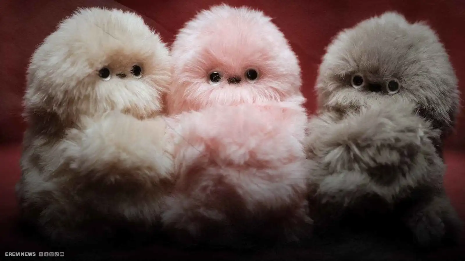 "ميرومي".. روبوت يتفاعل بذكاء ويُهدد شعبية "لابوبو"