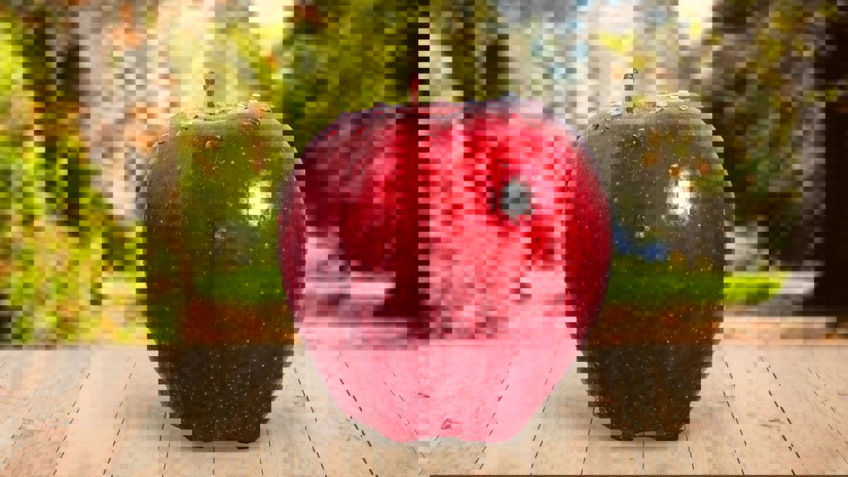 ماذا يفعل التفاح في أدمغتنا؟