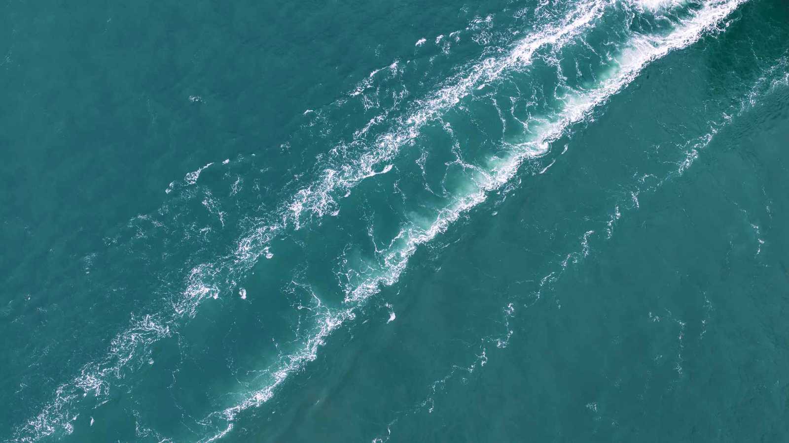 حموضة المحيطات تتصاعد أسرع من المتوقع في السواحل العالمية