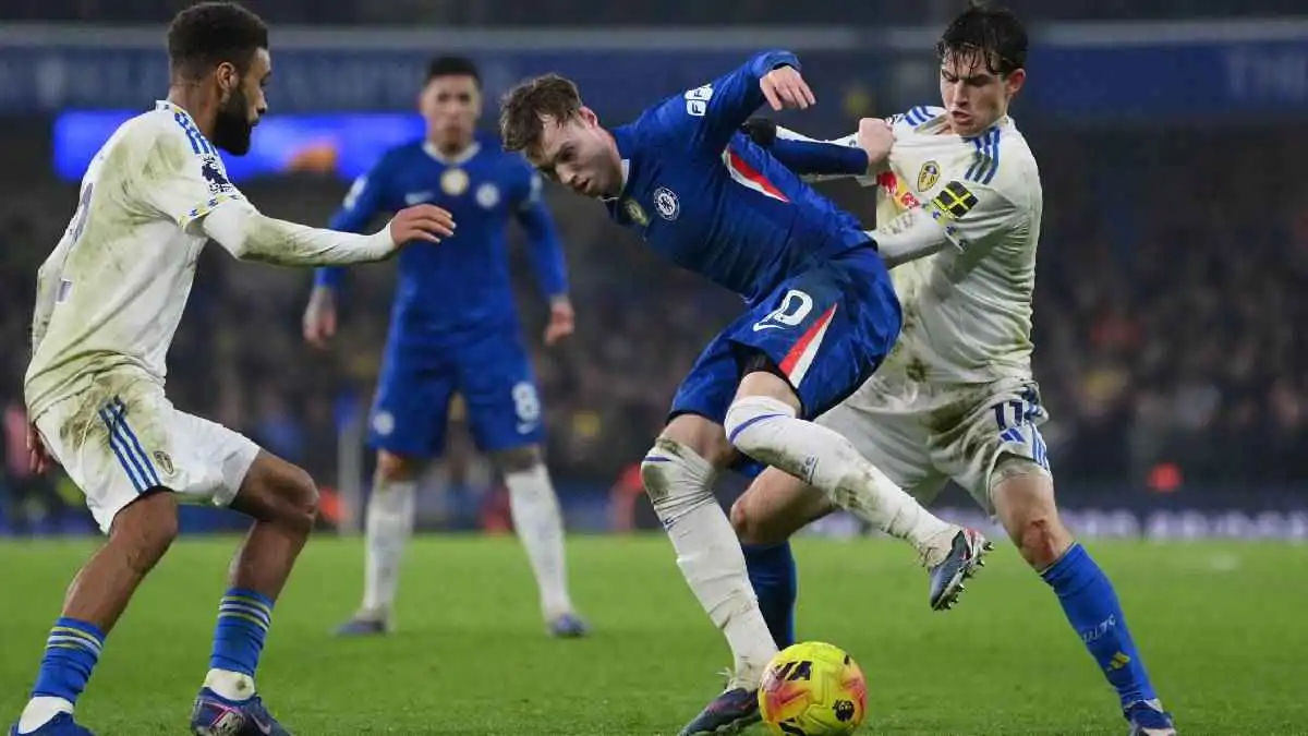 نيوكاسل يعمّق جراح توتنهام.. وصحوة ليدز تحبط تشيلسي (فيديو)