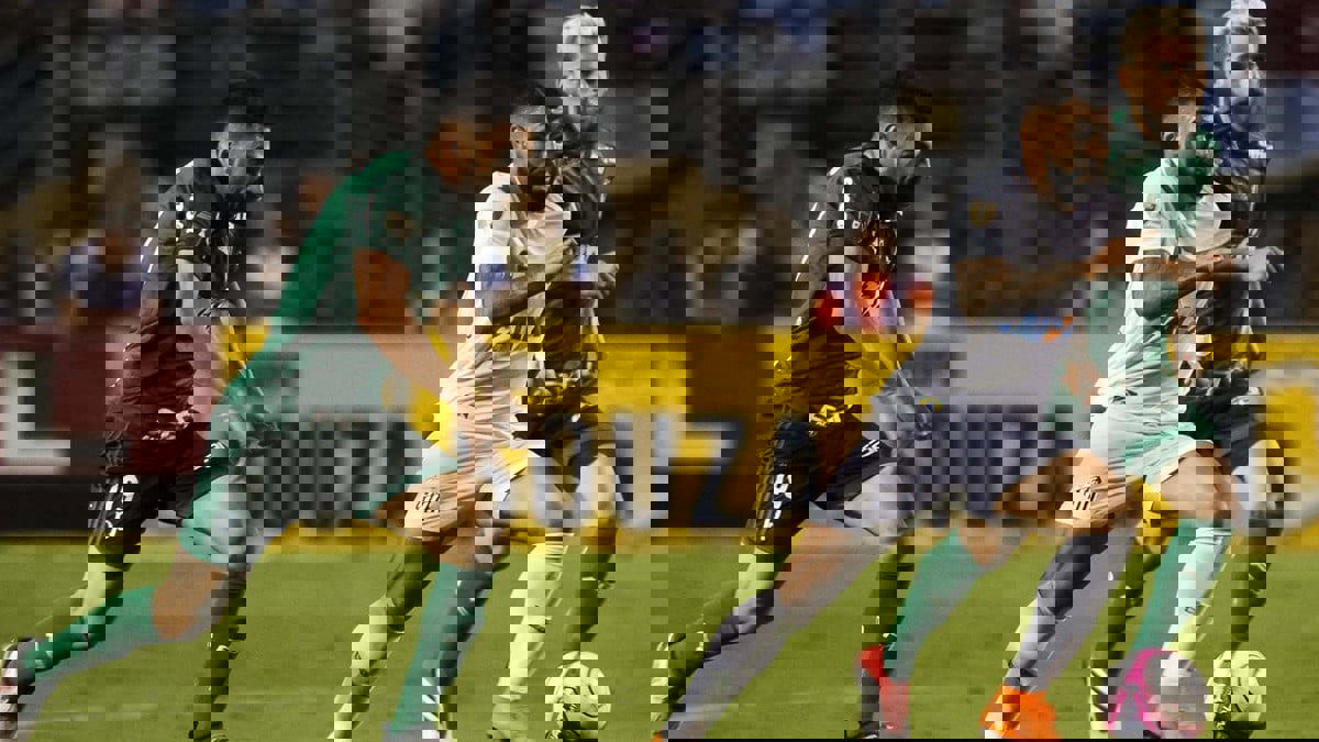 نهائي كوبا ليبرتادوريس.. الموعد والقنوات الناقلة والتشكيل المتوقع لمباراة بالميراس وسانتوس