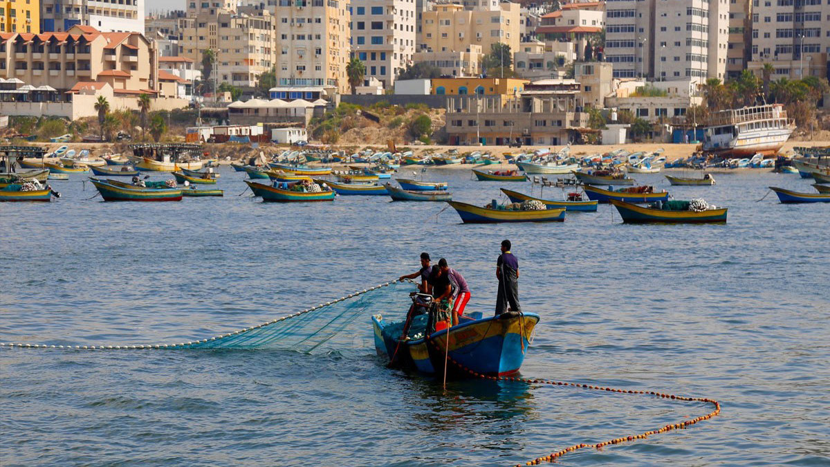 بسبب قرار اتخدته حماس.. صيادو غزة يضربون عن العمل