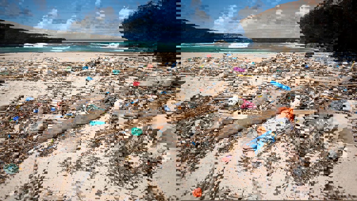 بعد وصول التلوث إلى الغلاف الجوي.. نداء "علمي" لكبح إنتاج البلاستيك