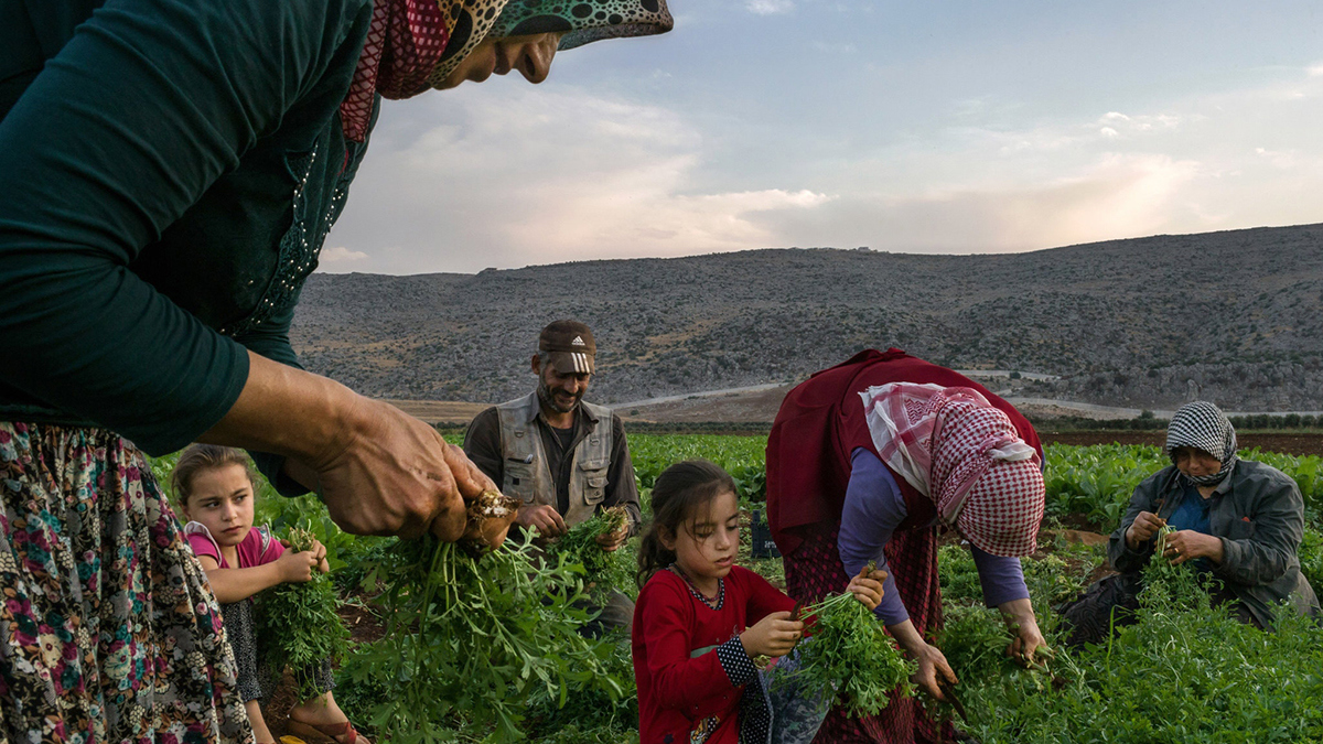 لاجئو سوريا في تركيا.. التوتر الأمني و"أجندة أنقرة" يهددان حلم العودة