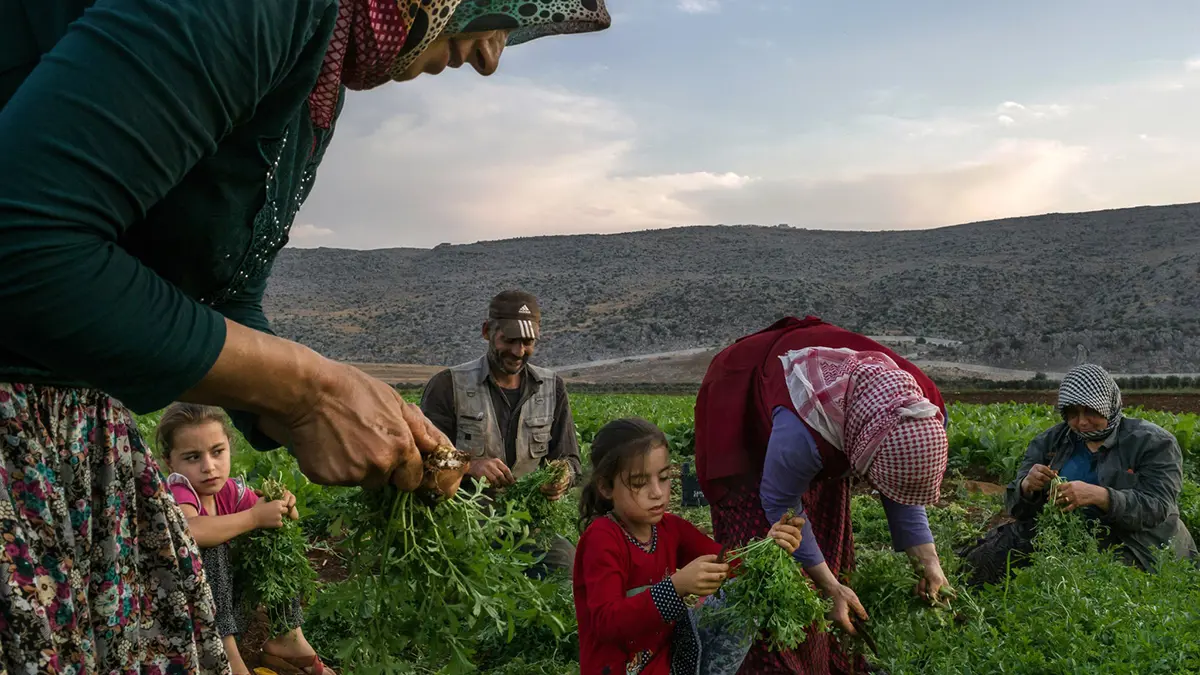 لاجئو سوريا في تركيا.. التوتر الأمني و"أجندة أنقرة" يهددان حلم العودة