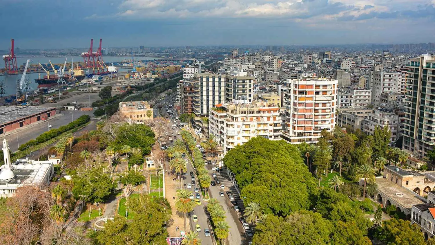 بعد أيام من المعارك.. عودة الحياة وحركة الأسواق إلى اللاذقية (فيديو)