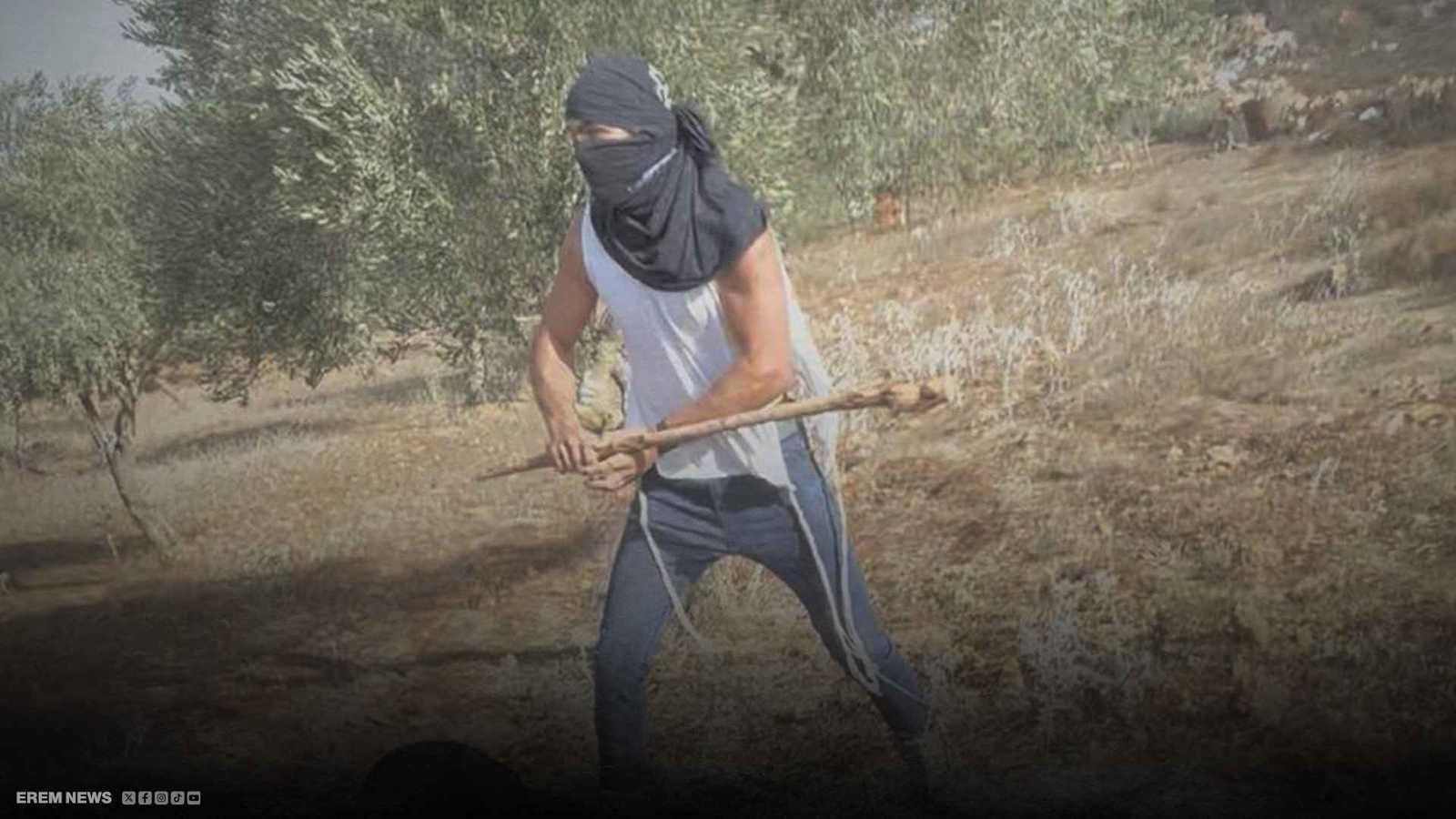 ضربوا امرأة وسرقوا المحاصيل.. مسلحون يهاجمون مزارعين بالضفة الغربية (فيديو إرم)