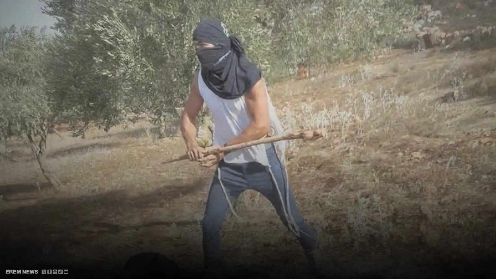 ضربوا امرأة وسرقوا المحاصيل.. مسلحون يهاجمون مزارعين بالضفة الغربية (فيديو إرم)