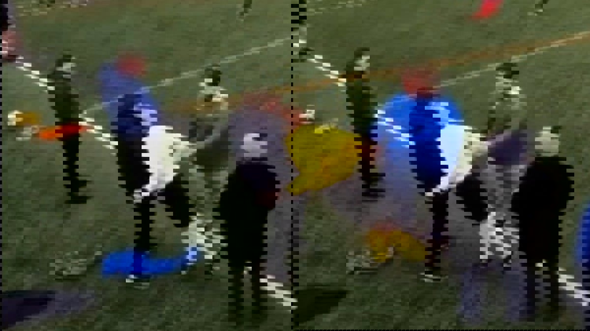 على طريقة زيدان.. حكم ينطح مشجعا ثم يلغي المباراة في اسكتلندا (فيديو)