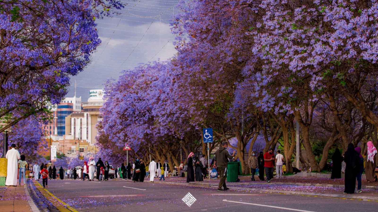 استكشف "سحر الشتاء" في السعودية (صور)