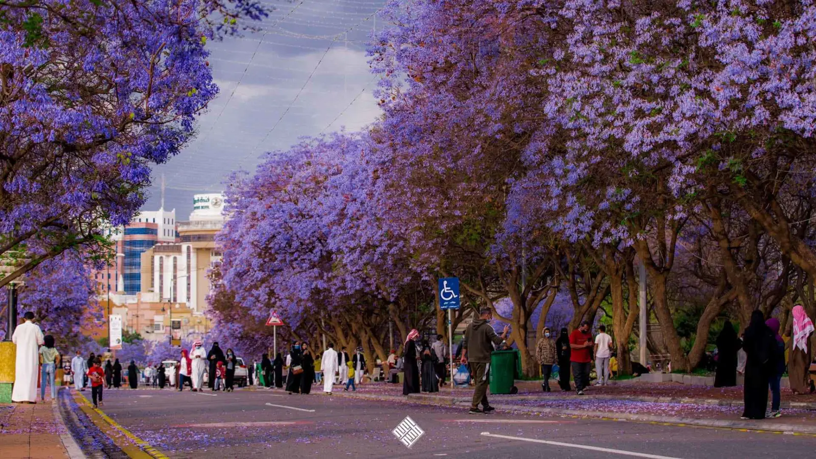 استكشف "سحر الشتاء" في السعودية (صور)