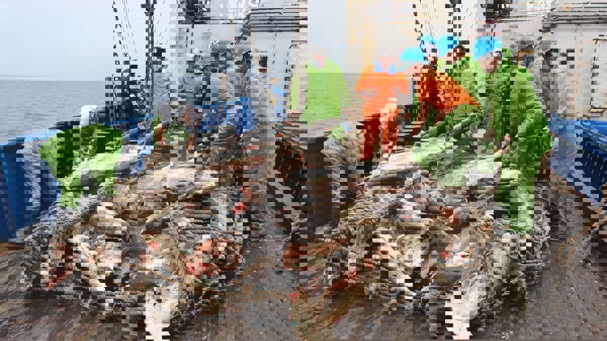 تقرير: سفن صيد صينية تهدد الثروة السمكية لأمريكا اللاتينية