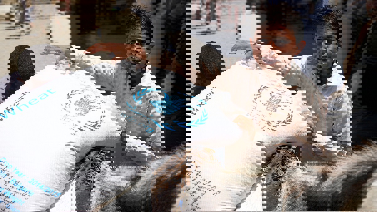 برنامج الأغذية العالمي يخفض المساعدات لمناطق الحوثيين في اليمن