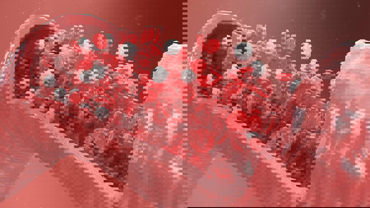 ابتكار تقنية تزيل الفيروسات والميكروبات من الجسم باستخدام "جسيمات مغناطيسية"

